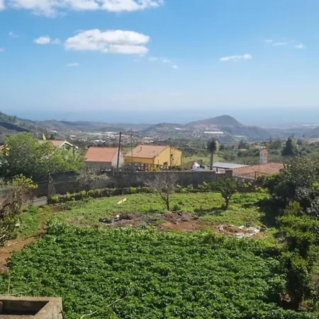 Amparo Villa *